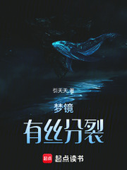 梦镜：有丝分裂在线阅读