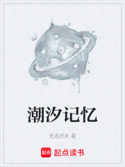 潮汐记忆在线阅读
