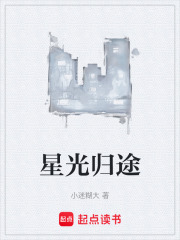 星光归途在线阅读
