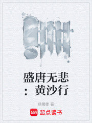 盛唐无悲：黄沙行在线阅读