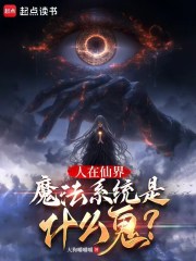 人在仙界，魔法系统是什么鬼？