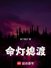 命灯熄渡在线阅读