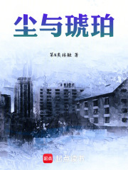尘与琥珀在线阅读