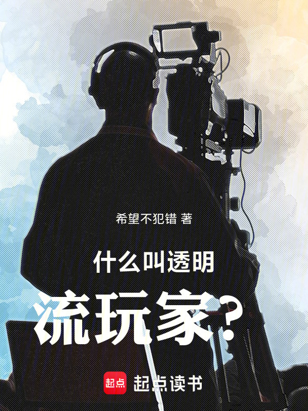 什么叫透明流玩家？在线阅读
