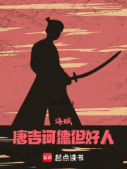 海贼：唐吉诃德但好人