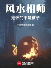 风水相师：她怀的不是孩子在线阅读