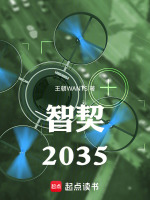 智契：2035最新章节在线阅读
