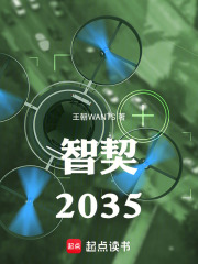 智契：2035在线阅读