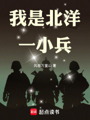 我是北洋一小兵在线阅读