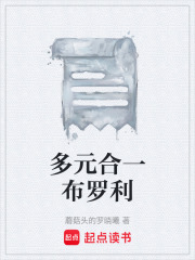 多元合一布罗利在线阅读