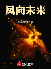 凤向未来在线阅读