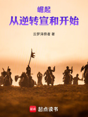 崛起：从逆转宣和开始在线阅读