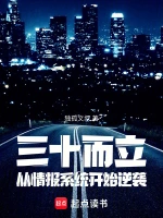 三十而立，从情报系统开始逆袭