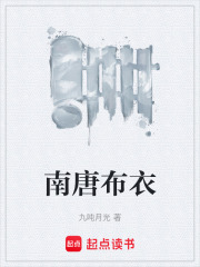 南唐布衣在线阅读