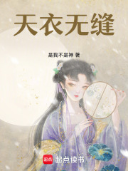天衣无缝在线阅读