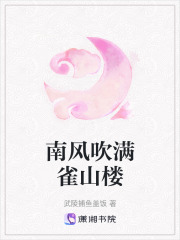 南风吹满雀山楼在线阅读