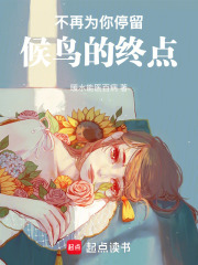 不再为你停留：候鸟的终点在线阅读