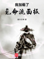 我加载了氪命流面板在线阅读