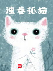 浊巷孤猫在线阅读