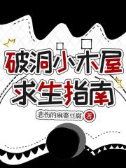 破洞小木屋求生指南在线阅读