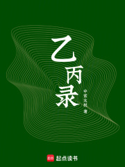 乙丙录在线阅读