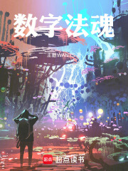 数字法魂在线阅读