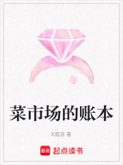 菜市场的账本在线阅读