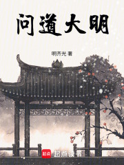 问道大明