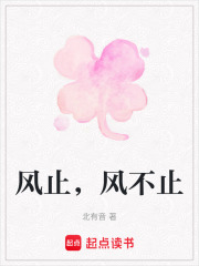 风止，风不止在线阅读