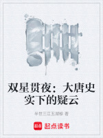 双星贯夜：大唐史实下的疑云封面