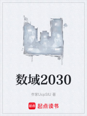 数域2030在线阅读
