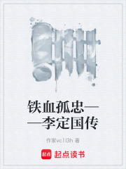 铁血孤忠——李定国传