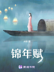 锦年赋在线阅读