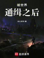 被世界通缉之后在线阅读