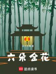 六朵金花在线阅读