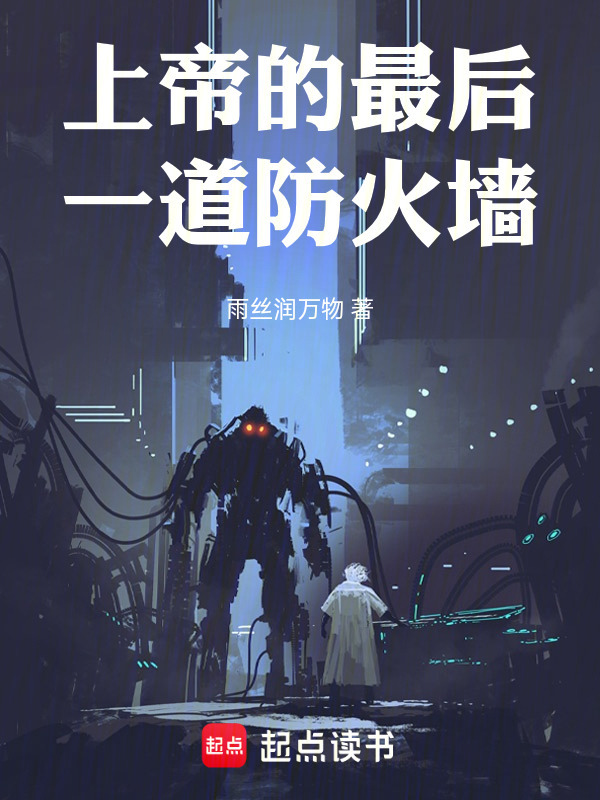 上帝的最后一道防火墙在线阅读
