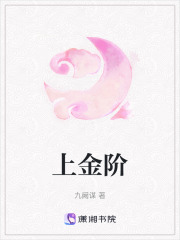 上金阶在线阅读