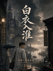 白衣入淮在线阅读