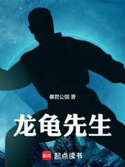 龙龟先生在线阅读