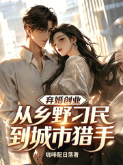 弃婚创业：从乡野刁民到城市猎手在线阅读