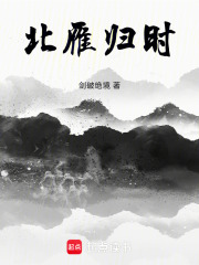 北雁归时在线阅读