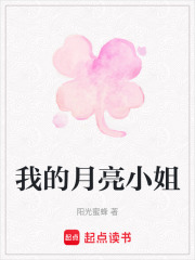 我的月亮小姐在线阅读