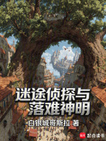迷途侦探与落难神明封面