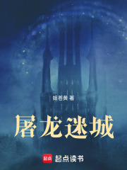 屠龙迷城在线阅读