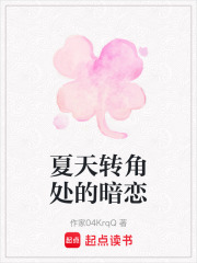 夏天转角处的暗恋在线阅读