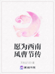 愿为西南风曹节传在线阅读
