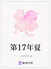 第17年夏在线阅读