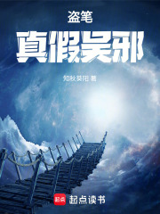 盗笔：真假吴邪在线阅读