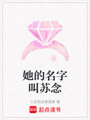 她的名字叫苏念在线阅读