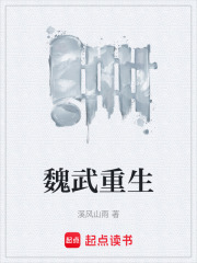 魏武重生在线阅读